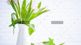 demo-attachment-783-brooke-lark-210780@2x